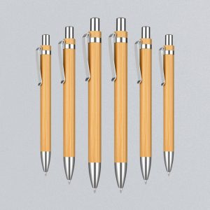 Bamboo Pen