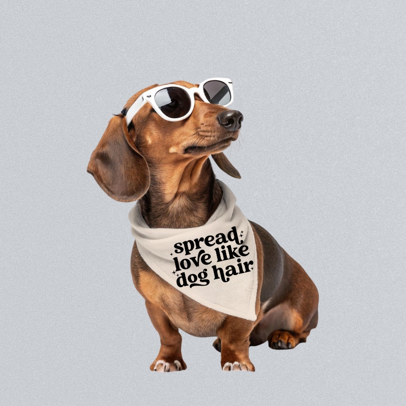 Dog Bandana